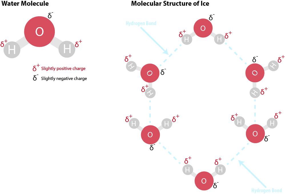 Why do plastic water bottles burst if left in a freezer for too long